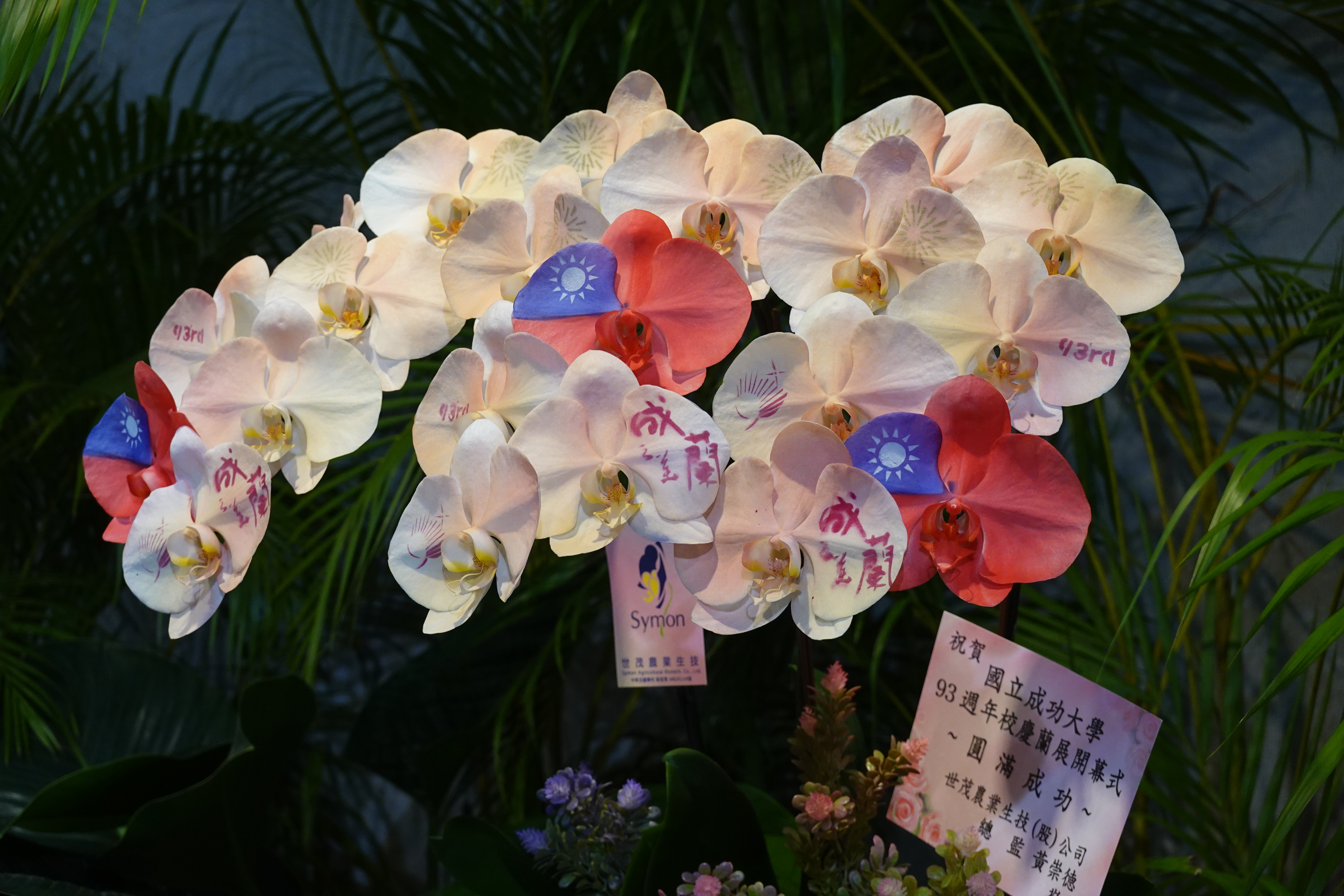 「成蘭之美」成大校慶秋季蘭展芬芳登場，即日起將在成功校區總圖書館 B1 展至 11 月 12 日