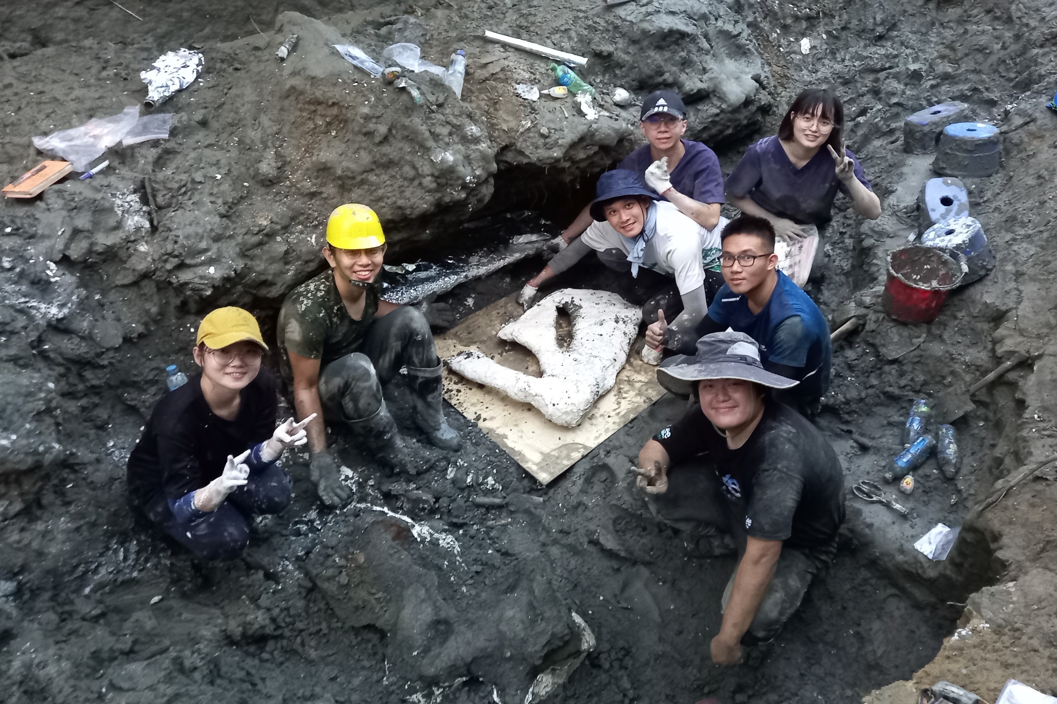 Whale scapula fossils, ready to be shipped out of the river valley after casting.