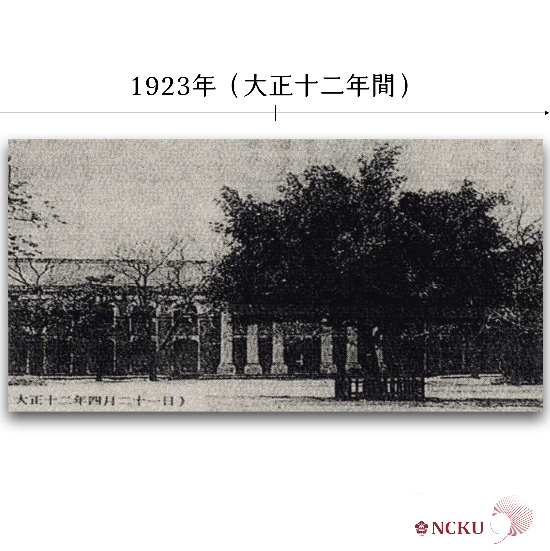 榕樹