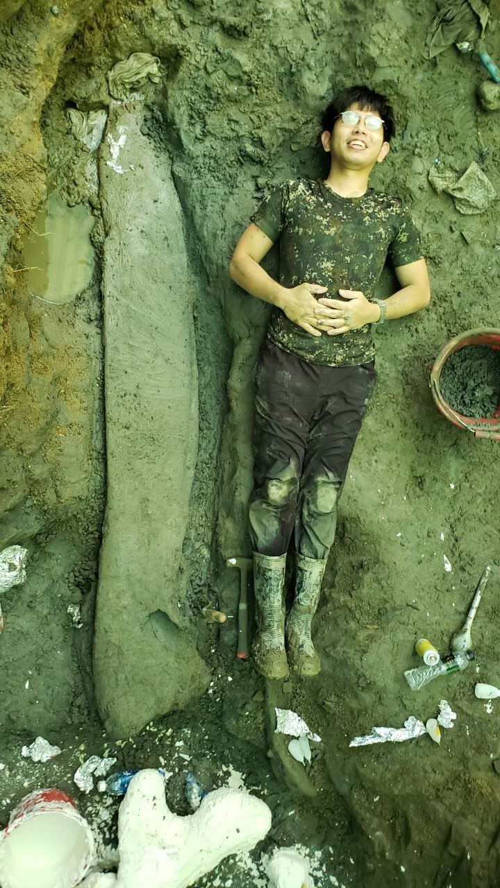 The lower jawbone of the whale fossil was 223 centimeters long and weighed 334 kilograms