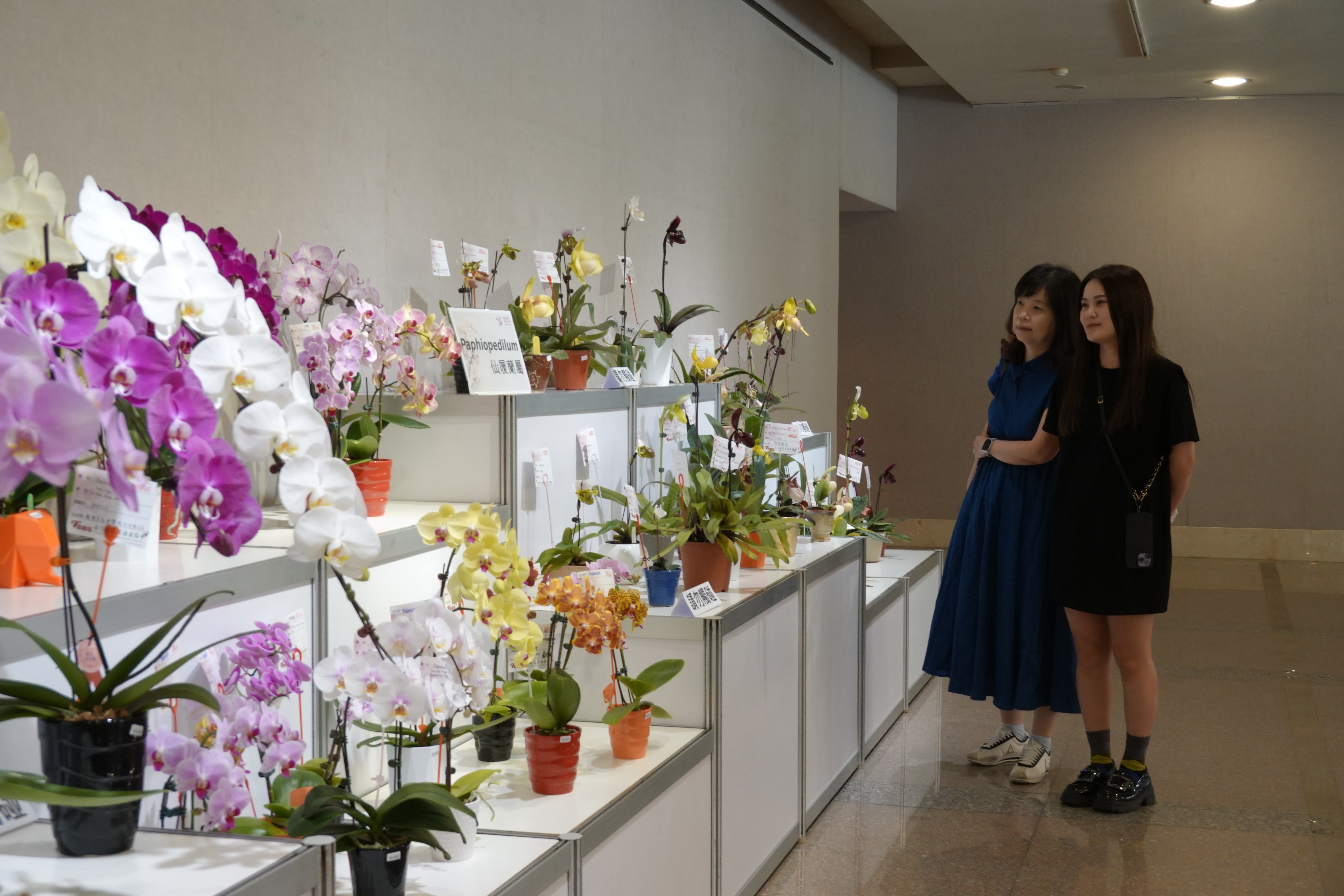 連續舉辦 13 年的「成蘭之美」成大校慶蘭展是結合研究、技術、產業、文化的多元展覽