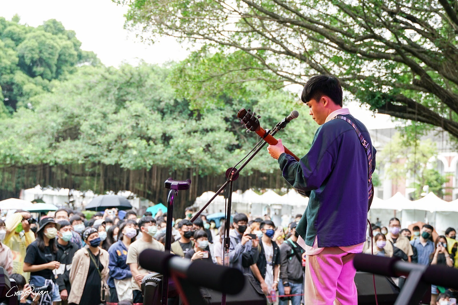 草地音樂祭