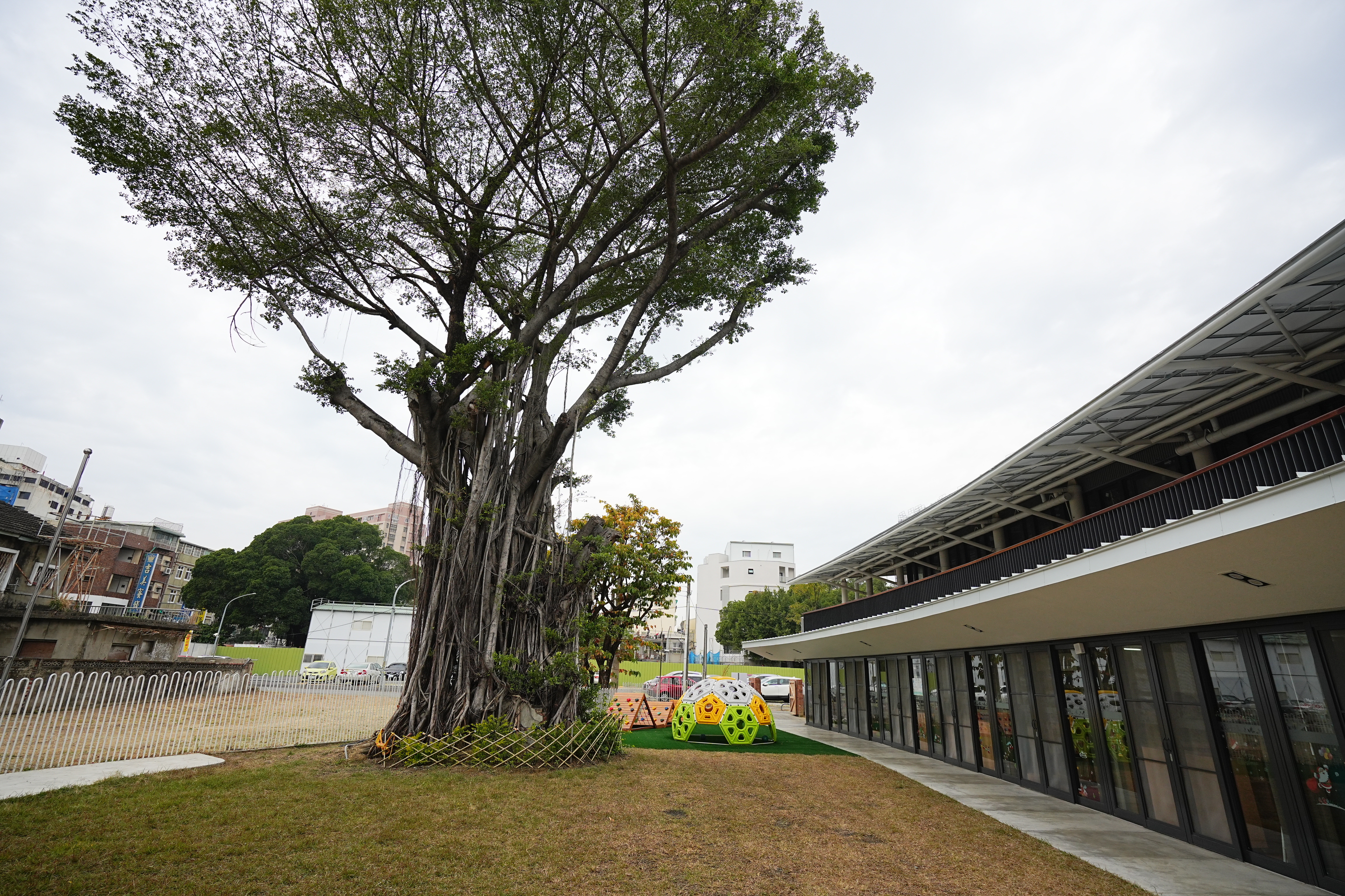 成大員工子女非營利幼兒園現址原為 1960 年代興建的成大東寧宿舍,保留珍貴老樹增添園區綠意