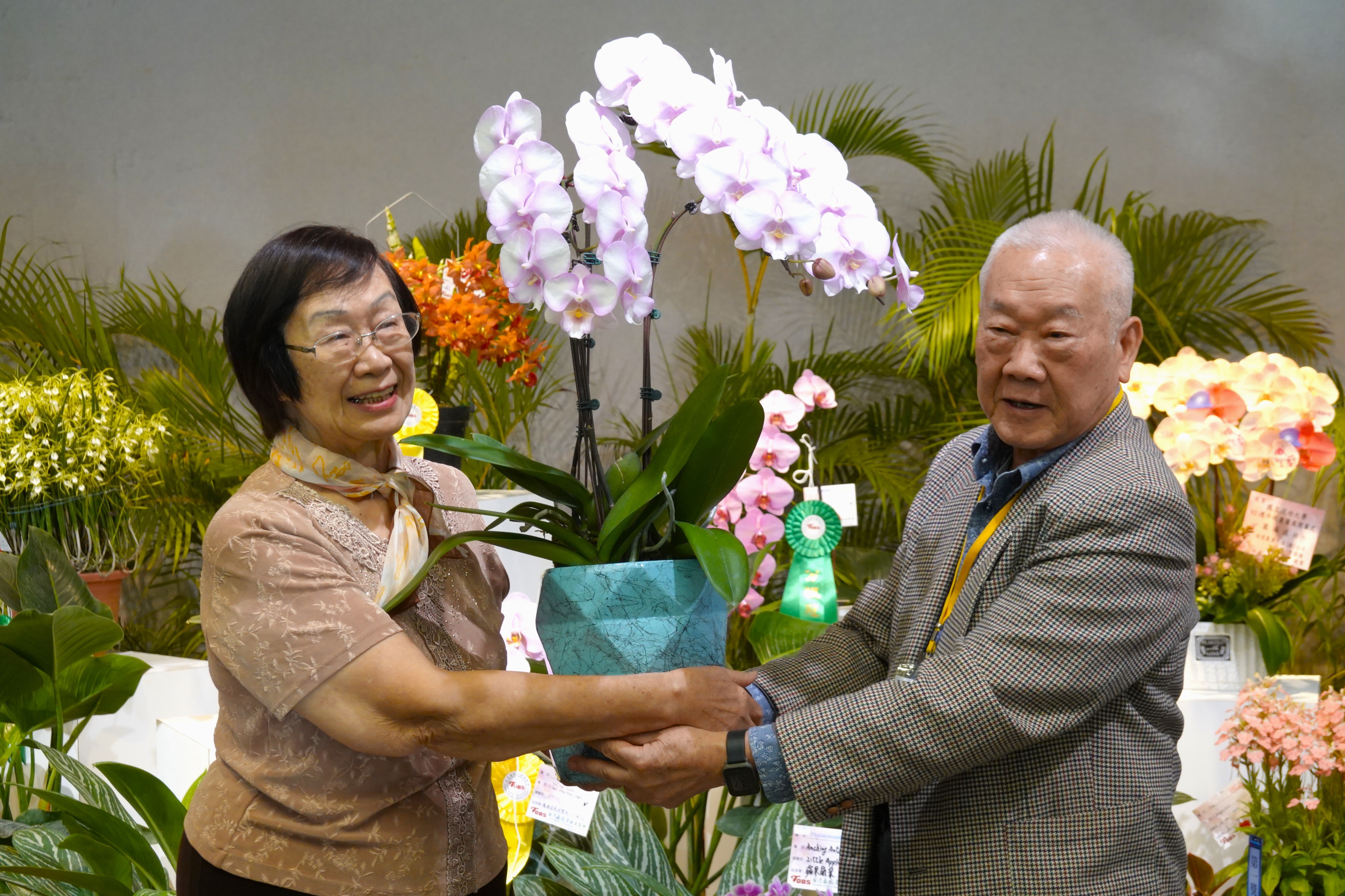 成大前校長馬哲儒夫人楊友偉教授（左）親自出席，參與見證馬哲儒校長命名蘭花「紫天使」（圖中）量產的重要時刻。圖右為成大蘭花研發中心顧問陳文輝博士
