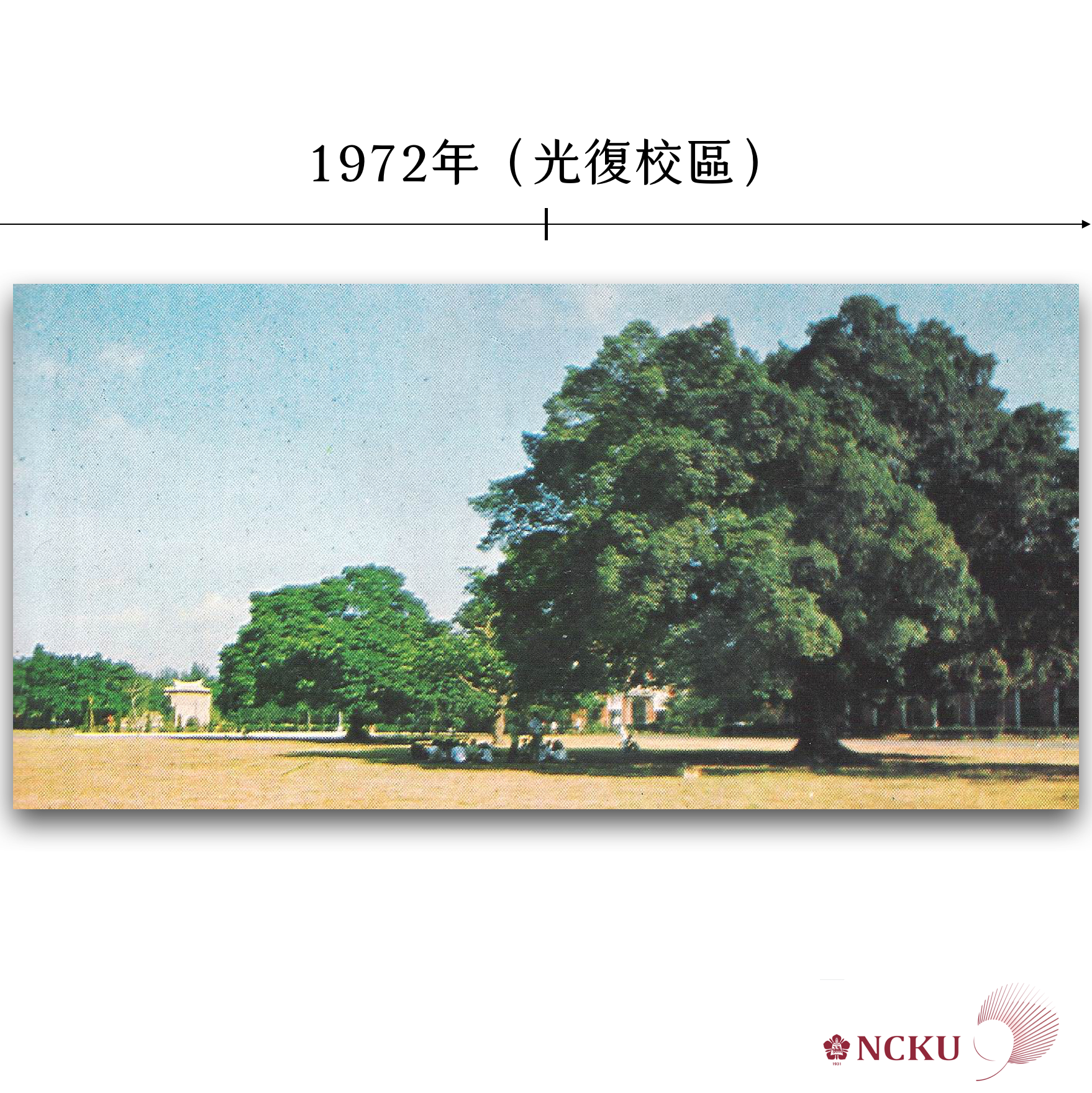 榕樹