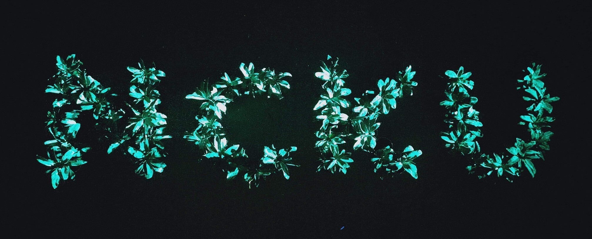 自然共存的藝術軟實力 成大「藝閃發光植物」榮獲美國紐約Muse Design Award設計獎與國科會未來科技獎 國立成功大學「藝閃發光植物」勇奪國內外 4 大獎項