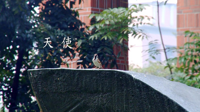 《天使》紀念短片特別選在母親節前公開播放