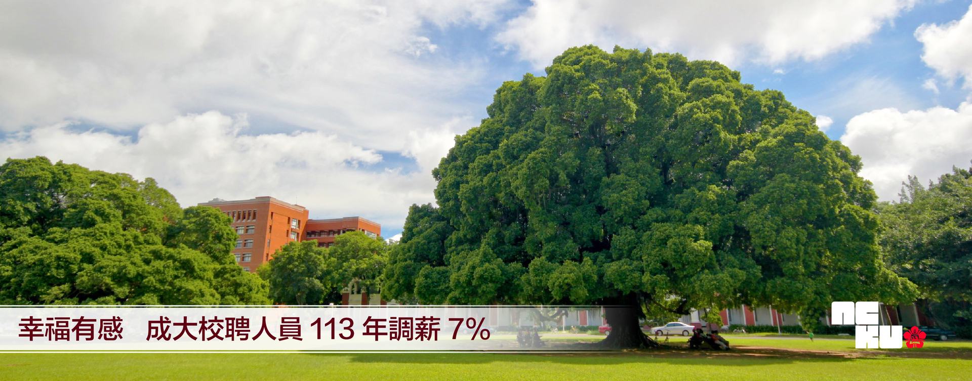 成功大學校聘人員好薪情　113 年調薪 7% 幸福有感