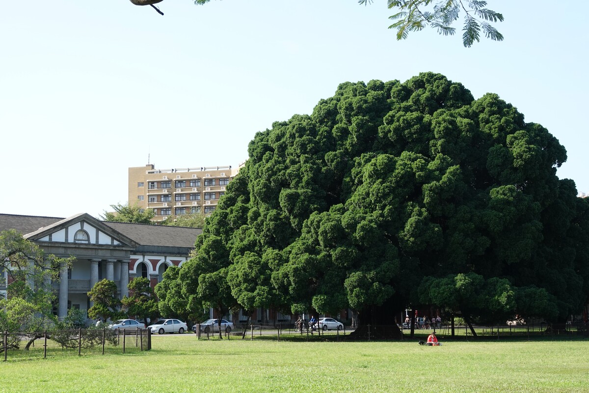 國立成功大學第十八任校長沈孟儒教授治校理念 躍升精彩　邁向百年：承先啟後、學術自主 、安心執行