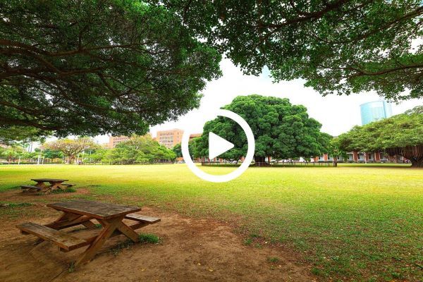 A  university  that  inspires  the  city  and  honors  the  nationImage