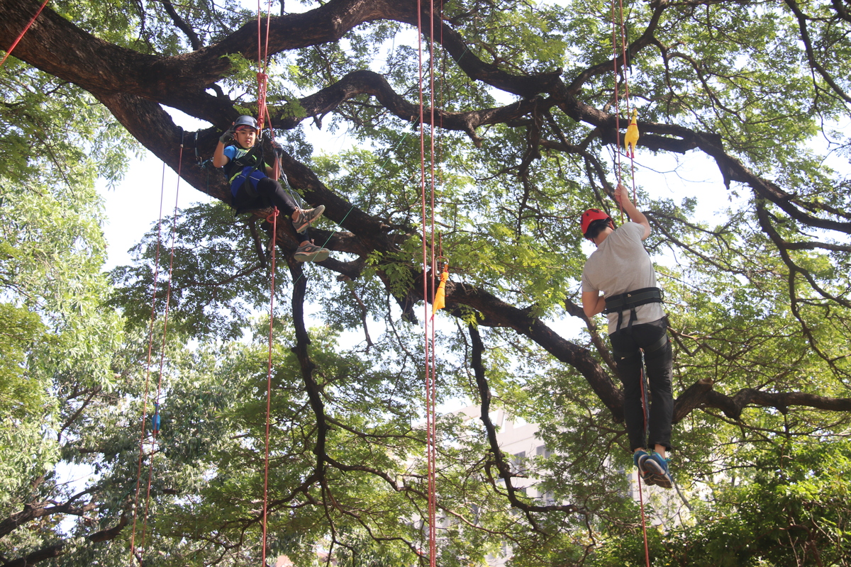 Discovery of Giant Tree “Heaven sword of Da-An River” in The Project Presentation of Giant Tree Mapping Project in NCKU
