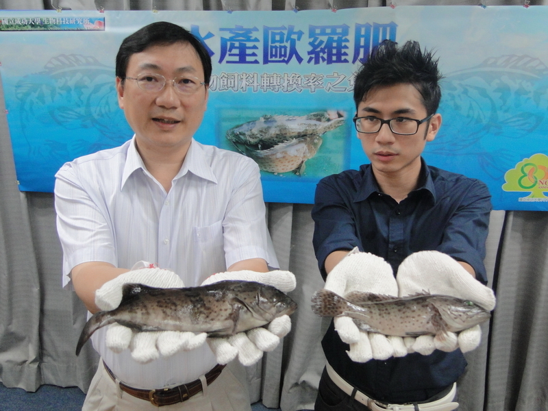 天然的歐羅肥 尚好 陳宗嶽教授研發的降低動物飼料轉換率之免疫技術 驚人圖片