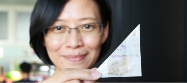 1Size of Moths Reveals History of Global Warming