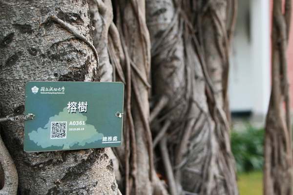 NCKU Trees Now Come in QR Codes