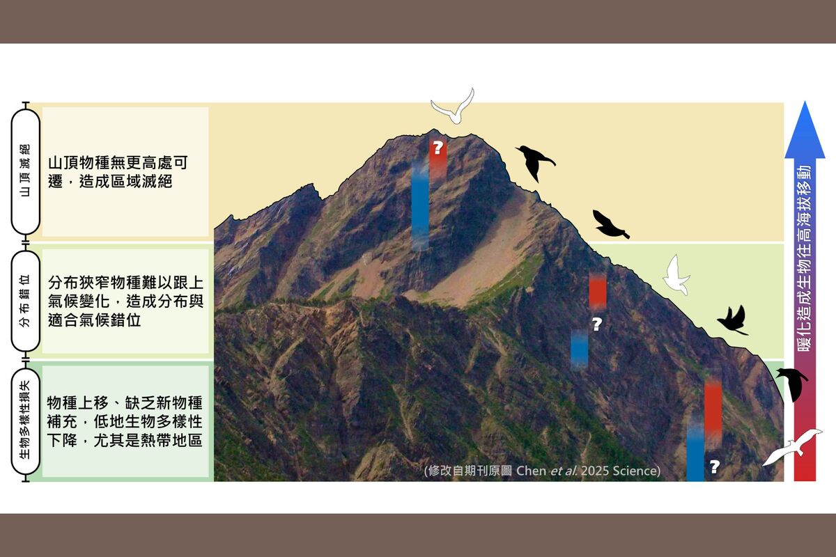 氣候暖化山區物種搭上滅絕電梯？成大研究挑戰經典假說登上頂尖《科學》期刊