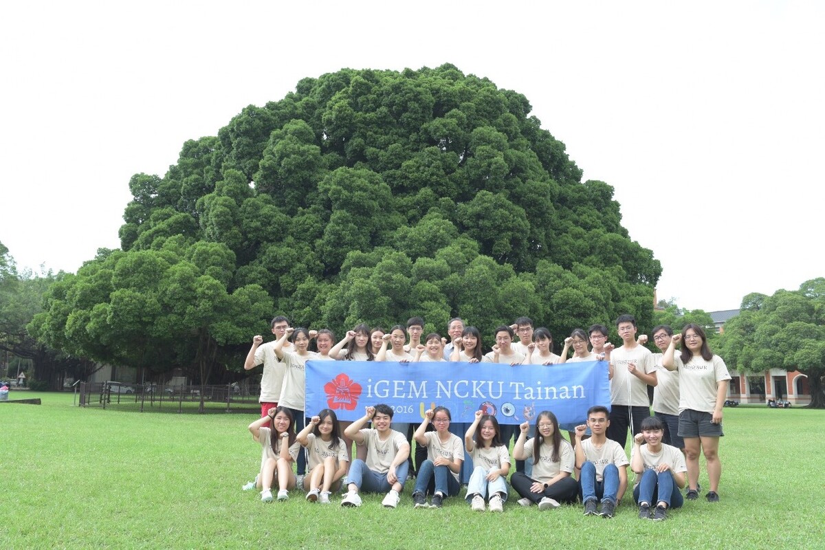 終結輕憂鬱有妙計　成大 iGEM 六度奪金