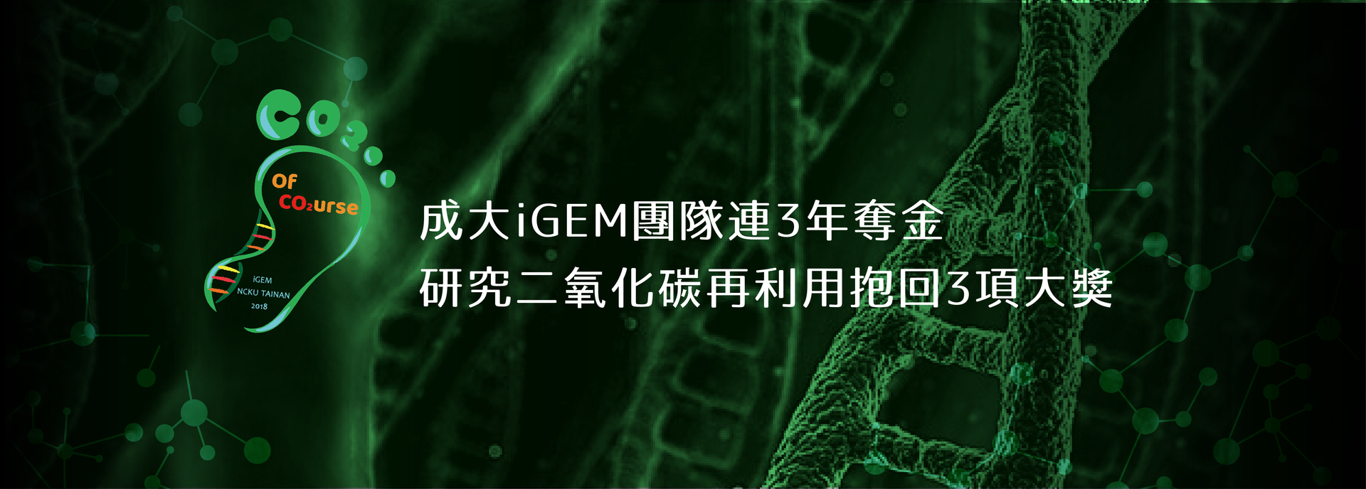 成大iGEM團隊連3年奪金　二氧化碳再利用研究主題抱回5項大獎