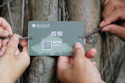 成大校樹QR code掛牌