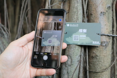 用手機掃描可即時瀏覽樹木資訊