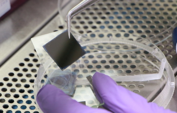 Professor Jiunn-Der Liao’s Virus Rapid Screening Test