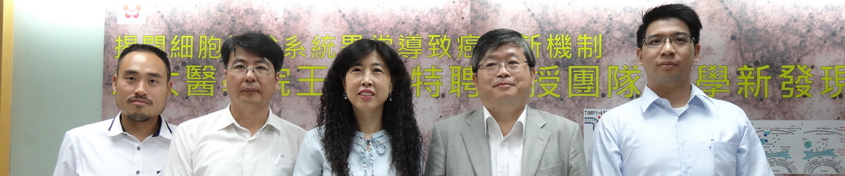 揭開細胞傳輸系統異常導致癌症新機制 成大醫學院王憶卿特聘教授團隊 醫學新發現圖片