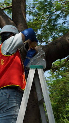 圖片說明