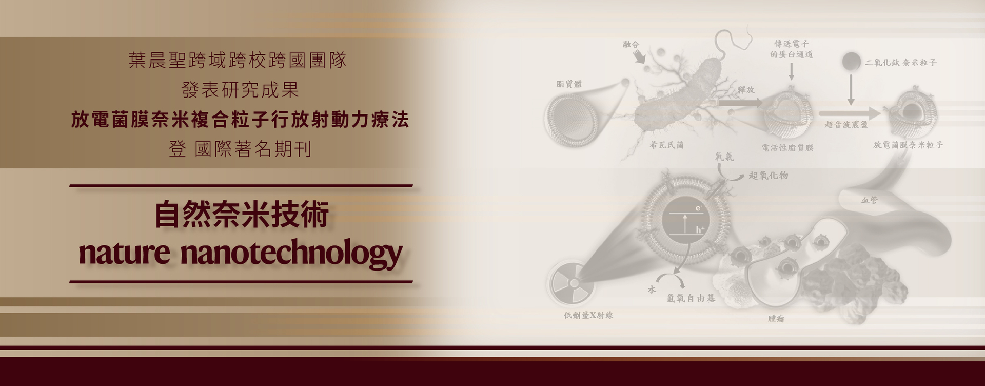 成大、高醫、長庚大學與日本機構合作研發「放電菌膜奈米複合粒子行放射動力療法」　成果刊登國際期刊
